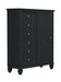 Sandy Beach Door Chest with Concealed Storage Black image