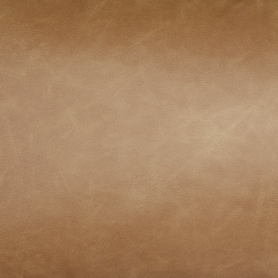 Danvale Pillow (Set of 4)