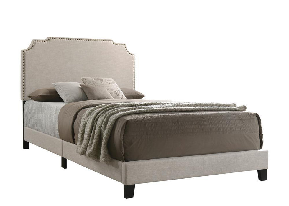 Tamarac Upholstered Nailhead Full, Eastern King & Queen Bed Beige & Grey