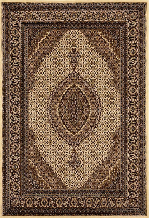 PERSIAN Area Rug - 3'9'' x 5'9'' - PC0546 image