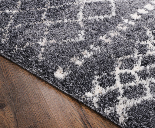 DAKU Area Rug - 8' x 10' - DK03810 image