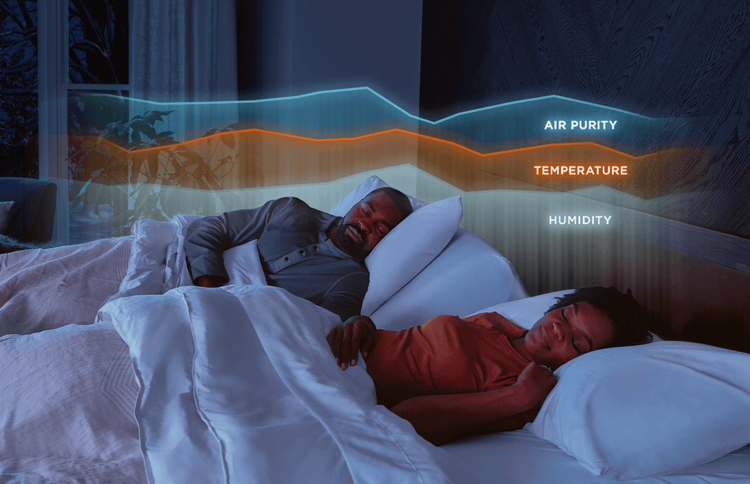 Tempur-Ergo Smart Base