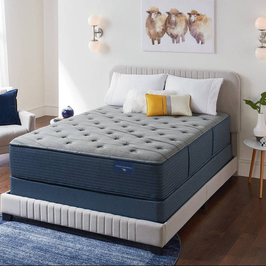 PLN 21 Luna Vista Plush Mattress